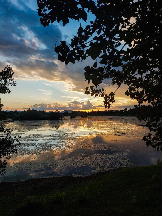 Noar Enjoy Your Stay Oresje Buitenkant foto